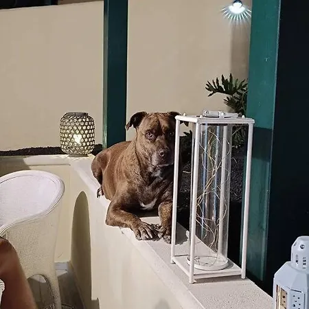 El Caseton Lejlighed *