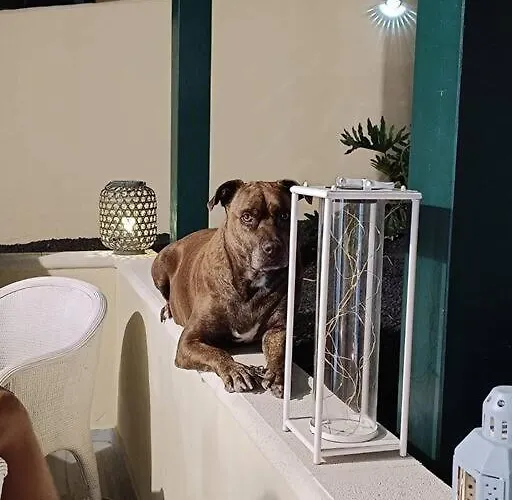 El Caseton Apartman *